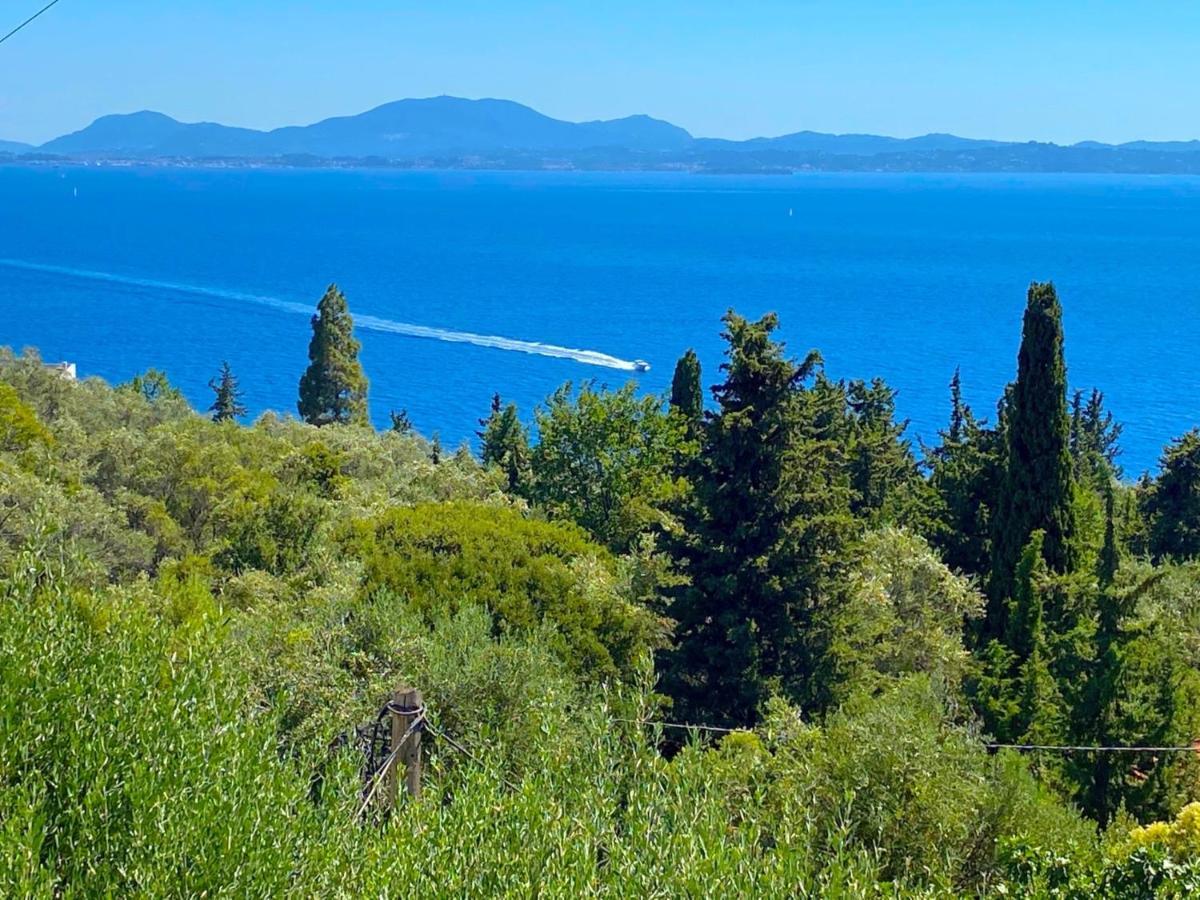 Villa Aliki Nissaki With Private Pool By Dadovillas Νησάκι Εξωτερικό φωτογραφία