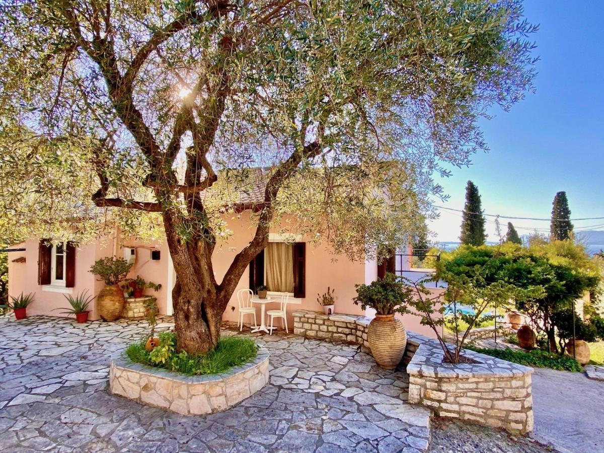 Villa Aliki Nissaki With Private Pool By Dadovillas Νησάκι Εξωτερικό φωτογραφία
